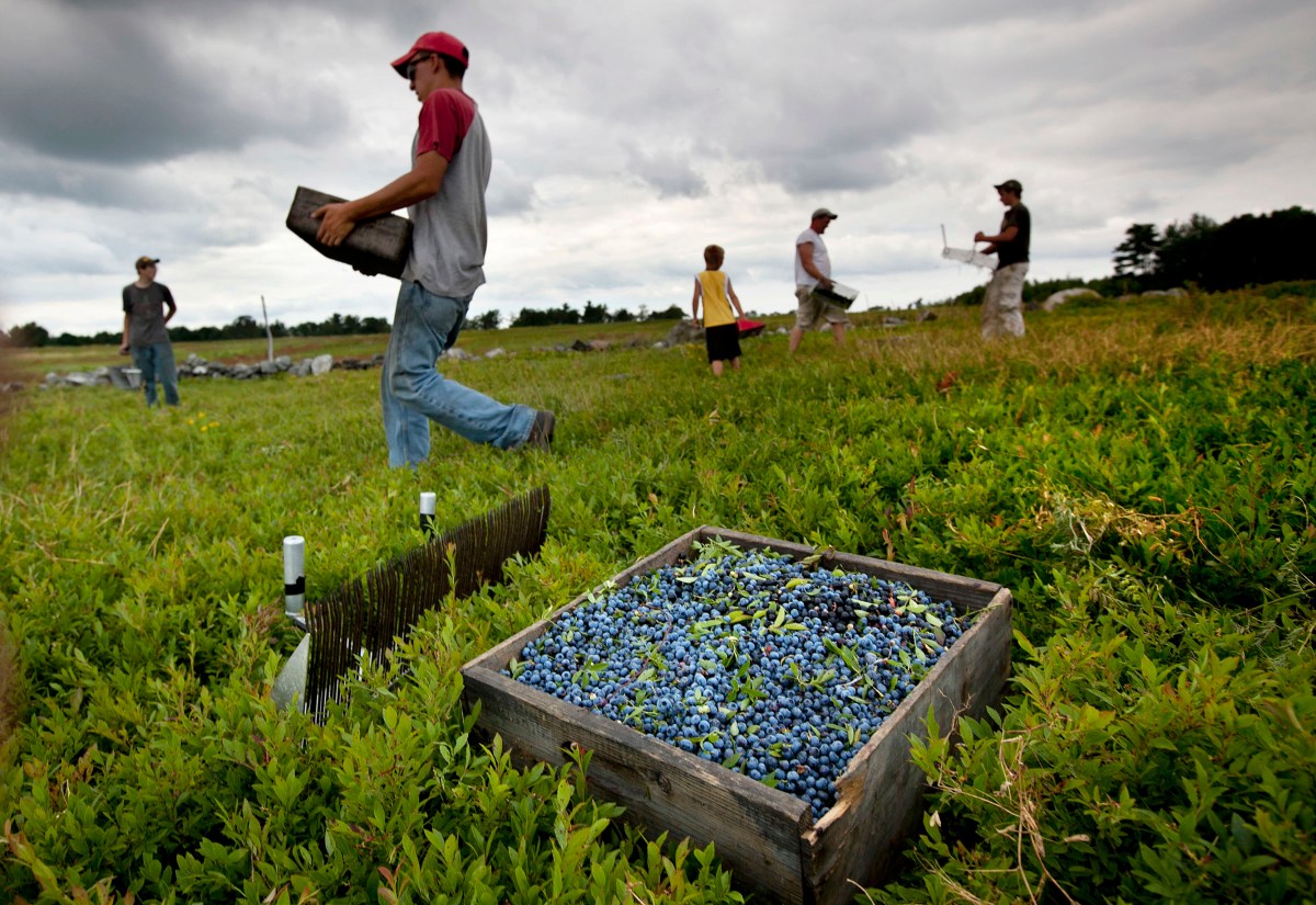 immigrants-workforce-contributions