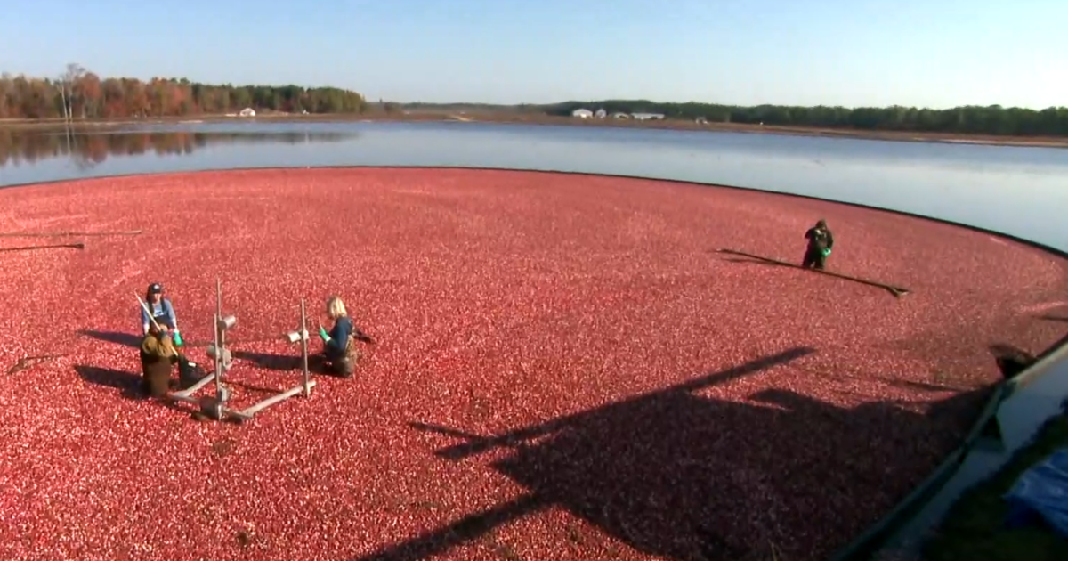 new-jersey-farmers-drought