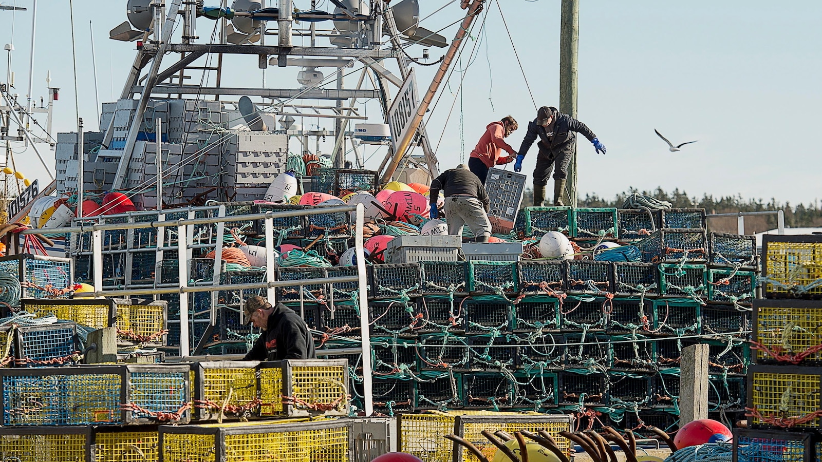 navigating-tide-seafood-industry