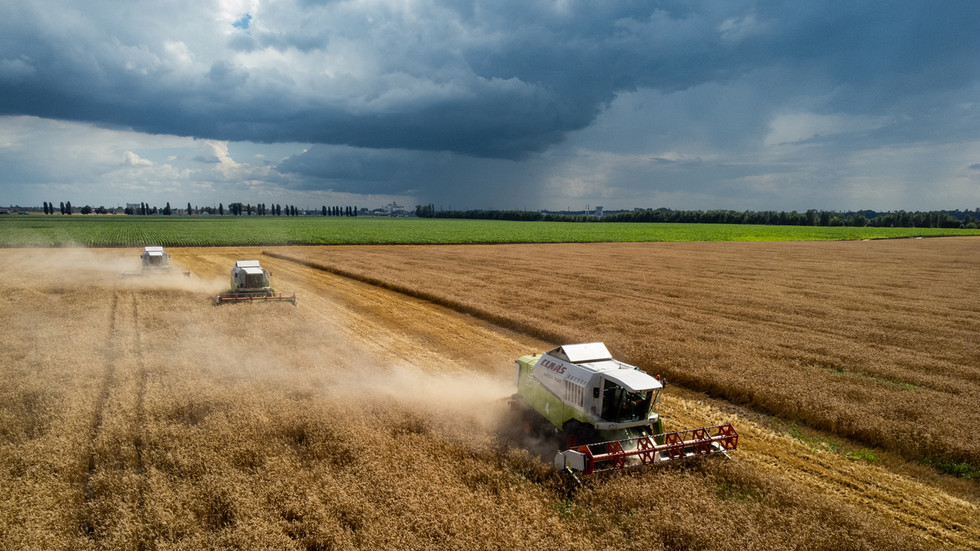 russia-wheat-supply-north-africa