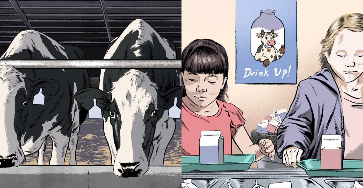 factory-farming-america