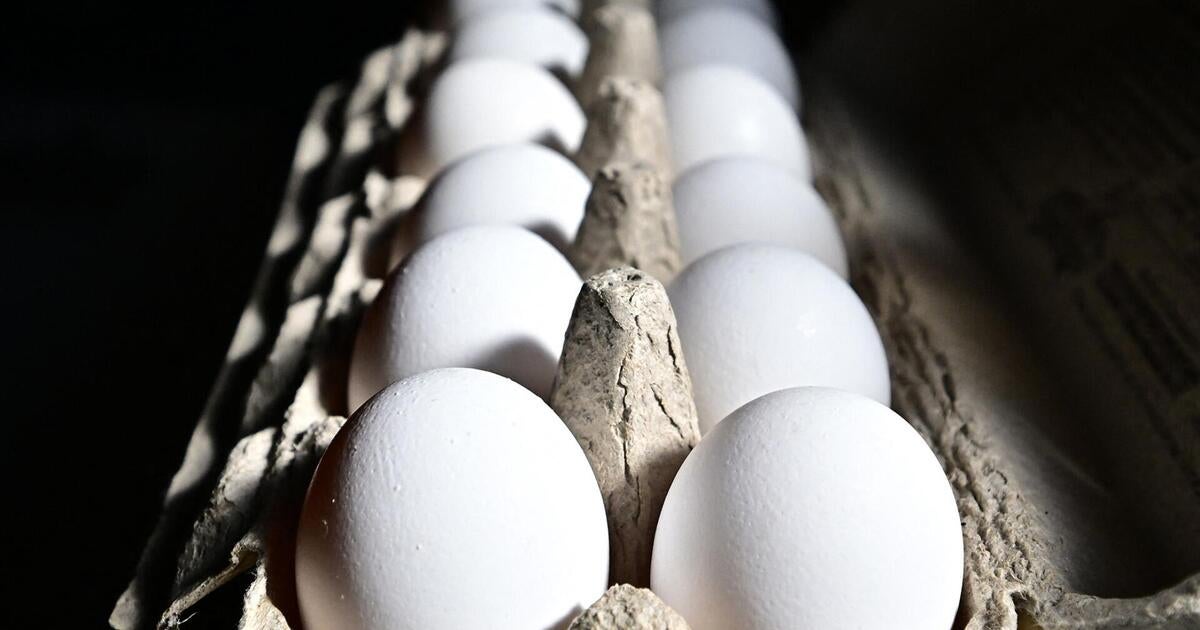 egg-prices-bird-flu-crisis