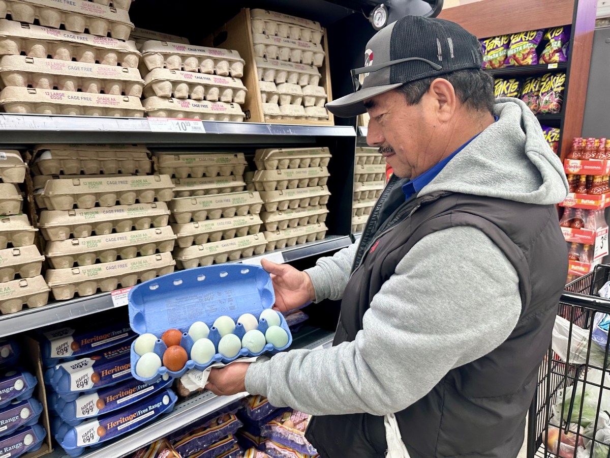 egg-prices-crisis-impact