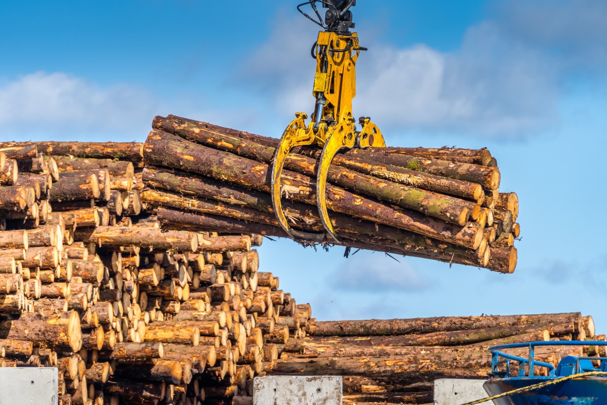 tariffs-impact-timber-prices