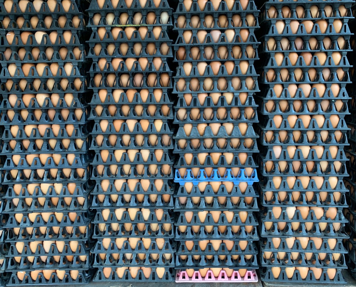 us-egg-imports-strategic-move