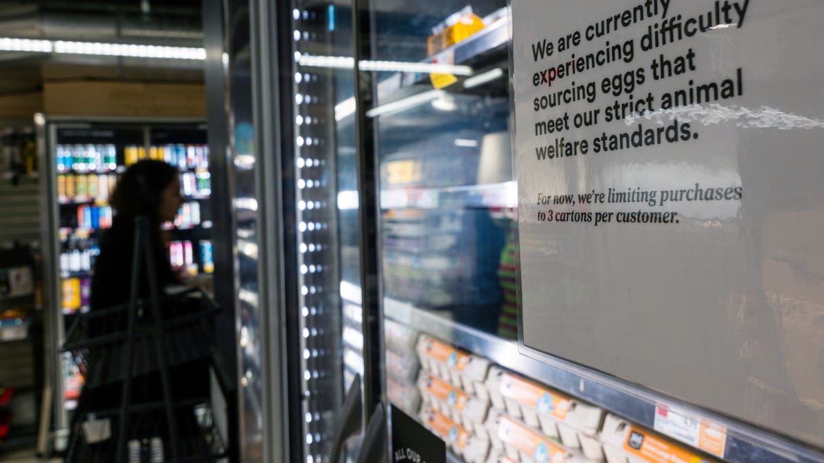 america-egg-supply-surge