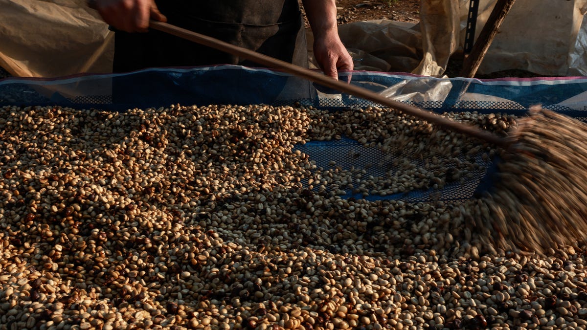 brewing-concerns-coffee-prices