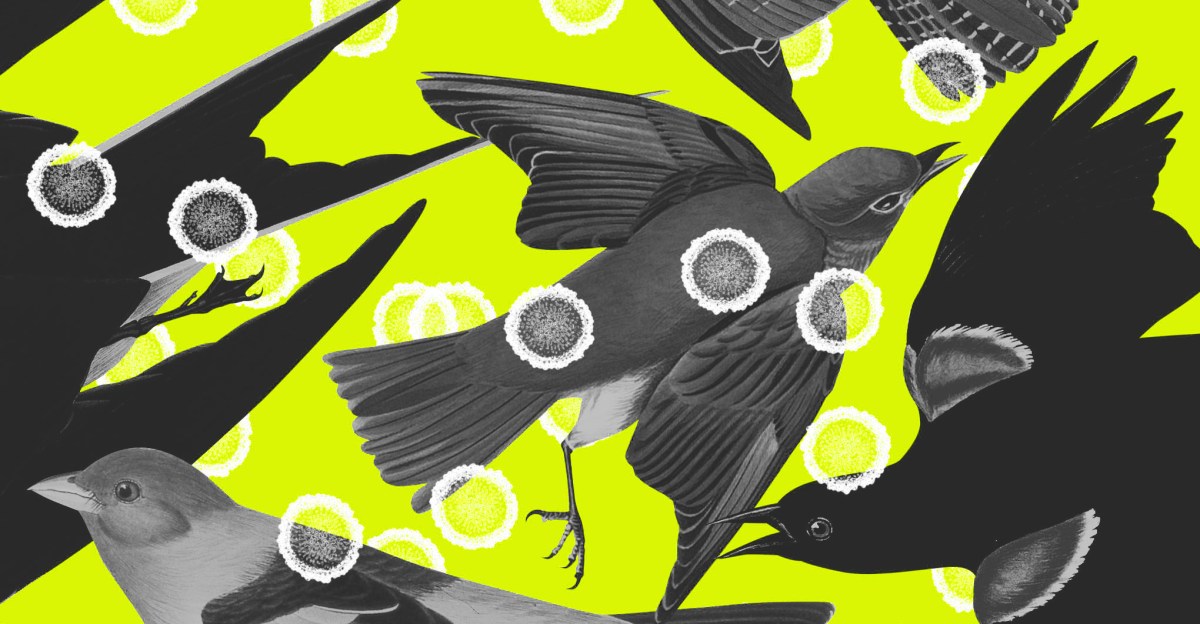 capitalism-vs-avian-influenza