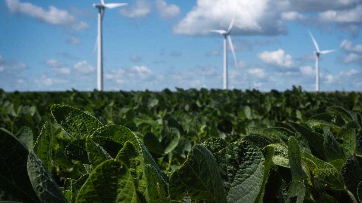 china-tariffs-us-farmers-tech-companies