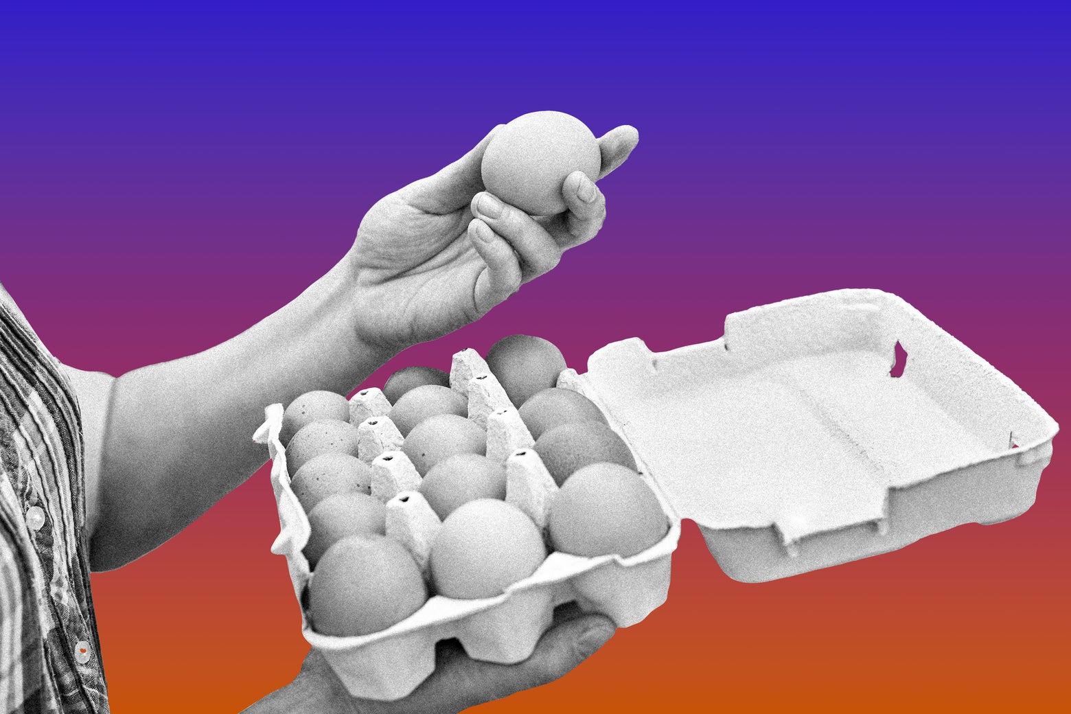 egg-crisis-supply-chain-issues