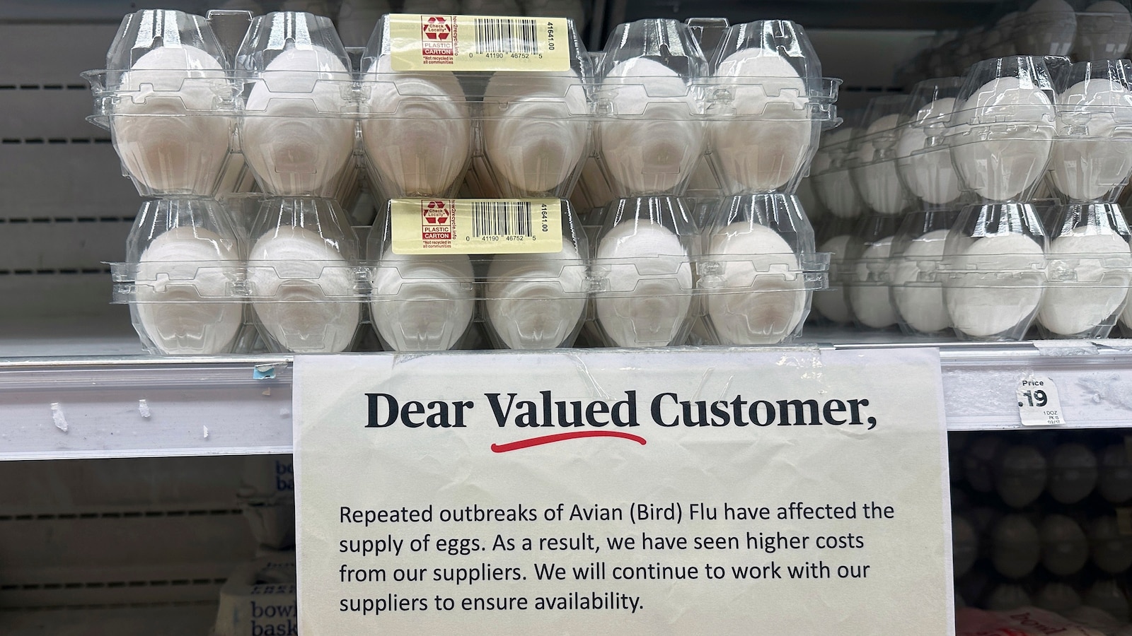 egg-prices-doj-investigation