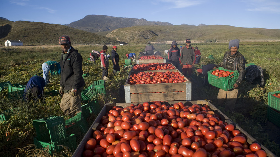 south-africa-agricultural-exports