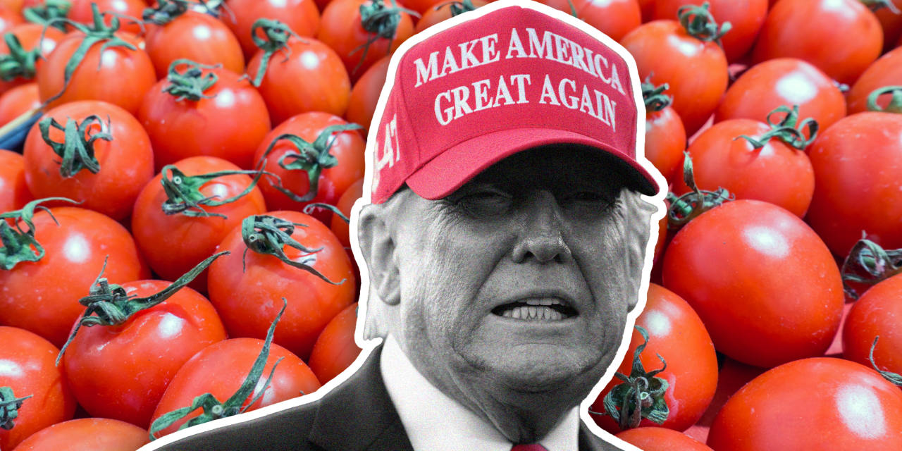 tomato-tariffs-global-trade