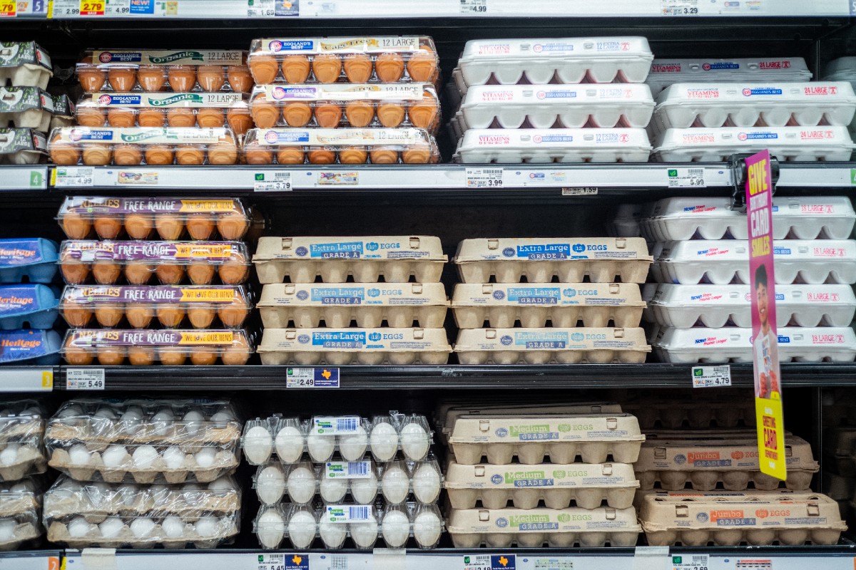 affordable-eggs-supermarket-deals