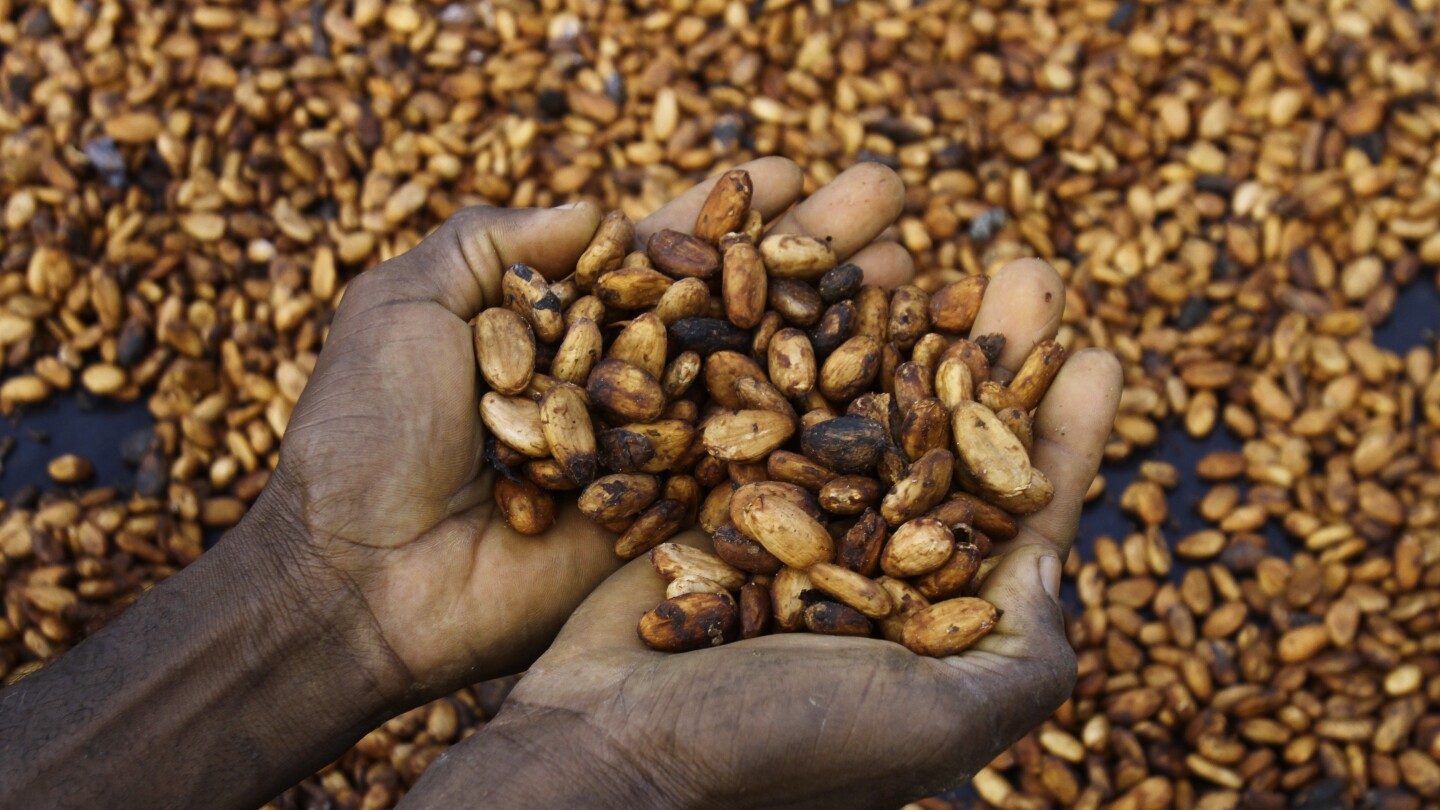 ivory-coast-cocoa-farmers-us-tariffs