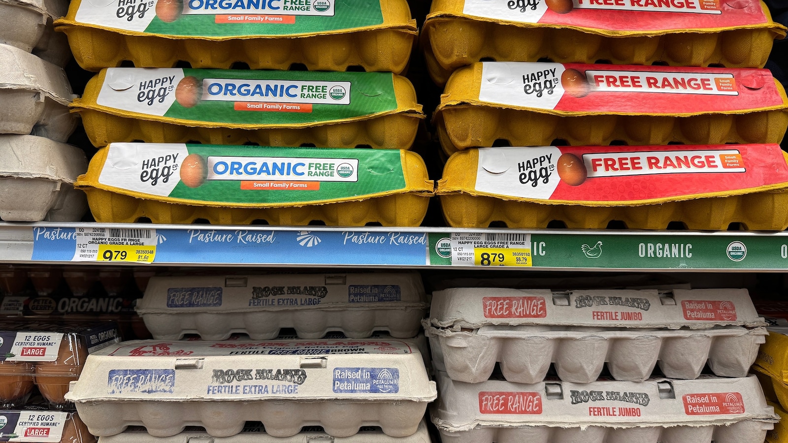 truth-behind-trump-egg-prices