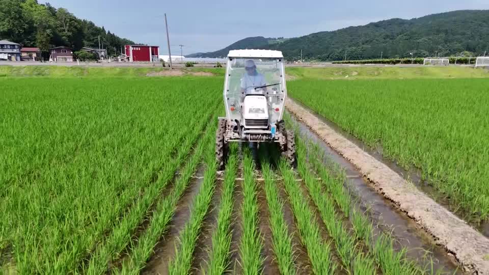 japan-rice-farmers-policy-change