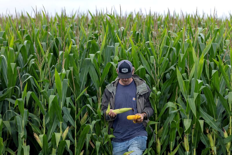 asia-boost-us-farm-imports