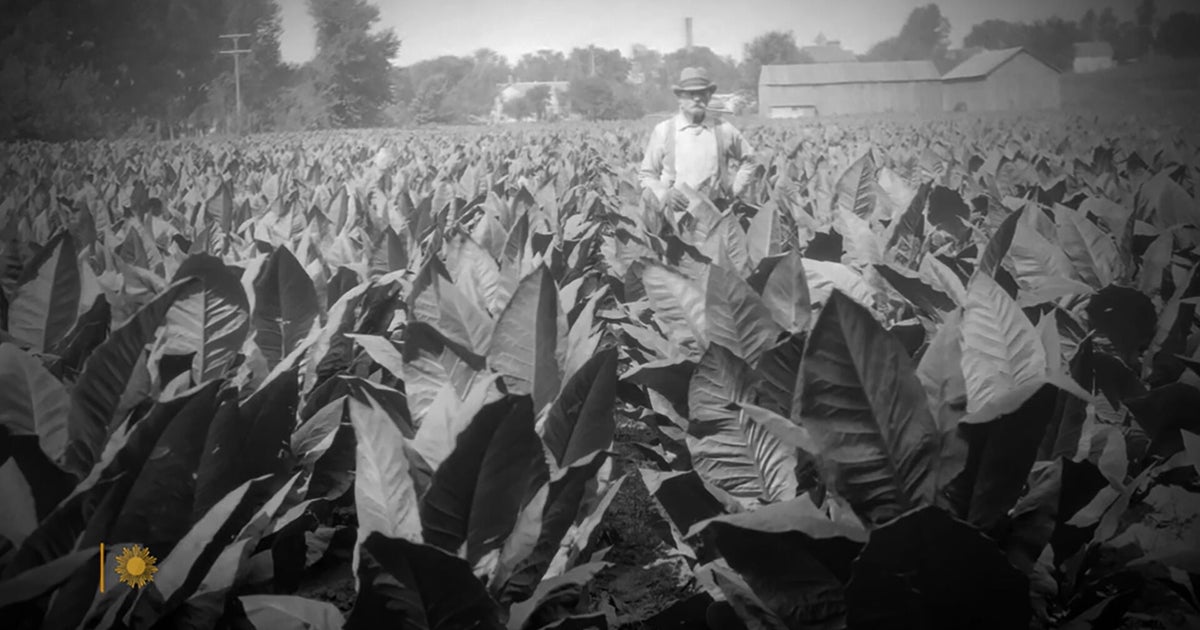 cash-crop-america-first