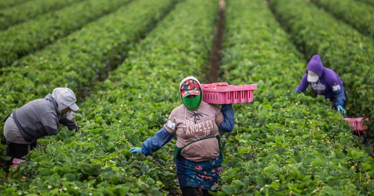 tariffs-impact-labor-market