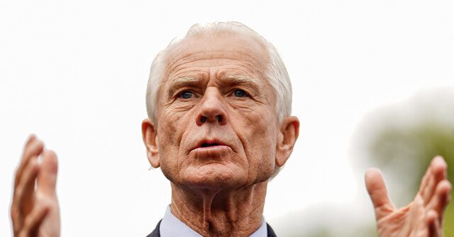 tariffs-peter-navarro-trump-video